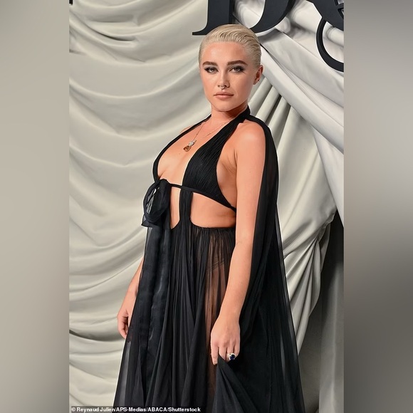 Valentino sheer silk dress (size 40/US 4) - Picture 11 of 13